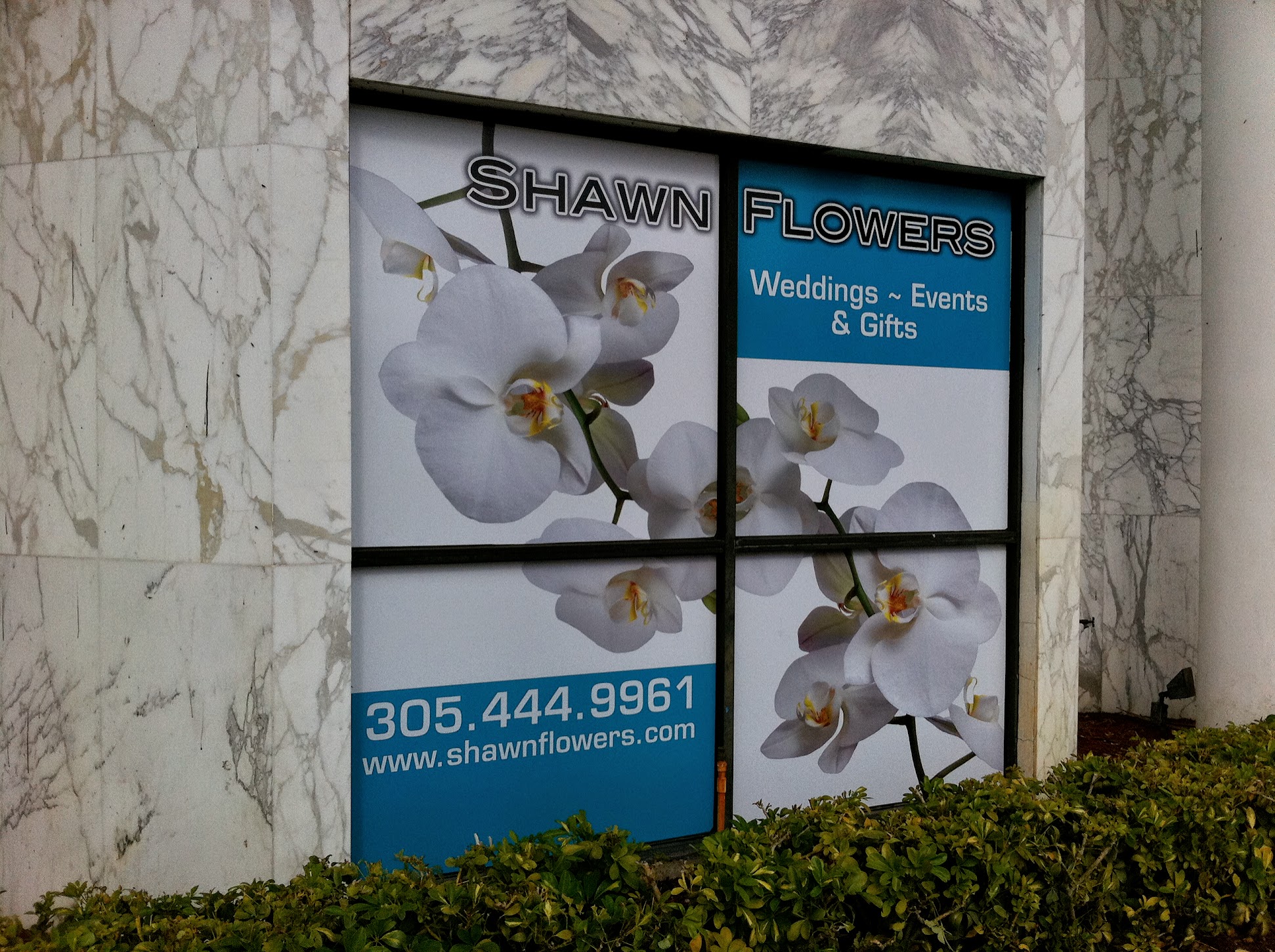 Frosted window graphic with logo applied to Miami Beach storefront